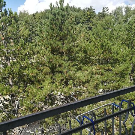 Da Santina Lägenhet Pieve Santo Stefano Exteriör bild