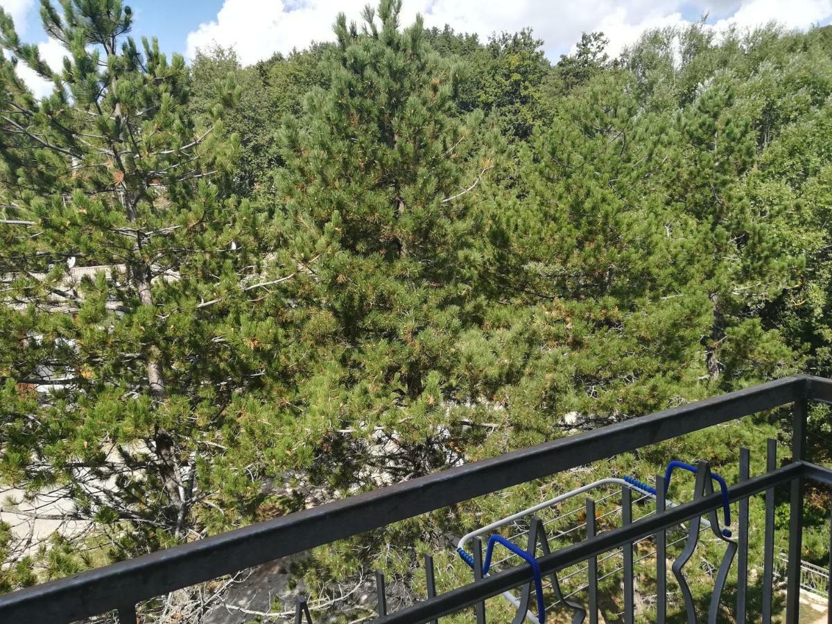 Da Santina Lägenhet Pieve Santo Stefano Exteriör bild