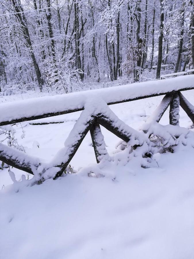 Da Santina Lägenhet Pieve Santo Stefano Exteriör bild