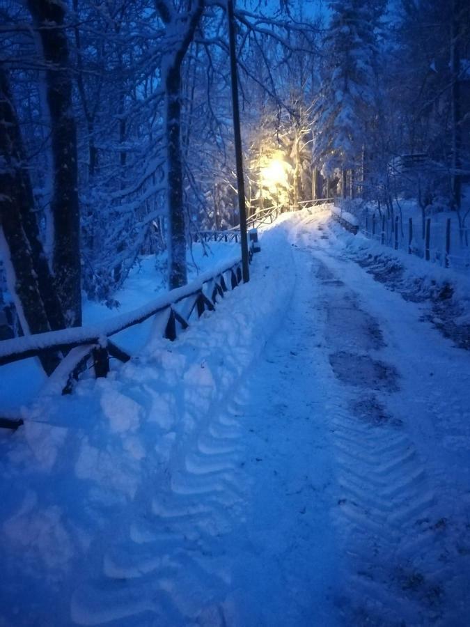 Da Santina Lägenhet Pieve Santo Stefano Exteriör bild